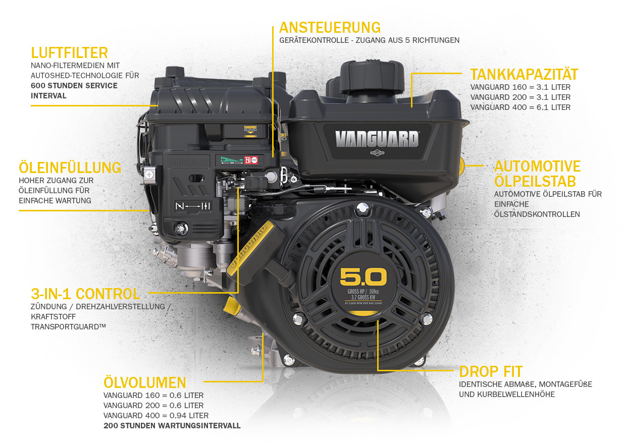 Vanguard 160 200 400 Engine Features