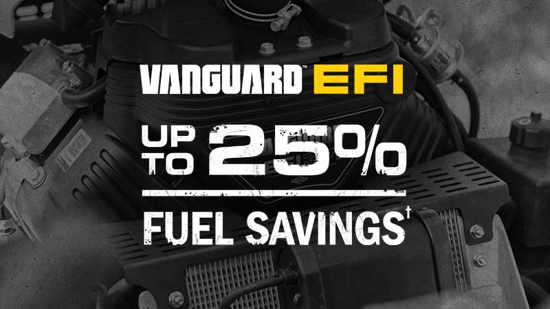 Vanguard EFI Electronic Fuel Injection