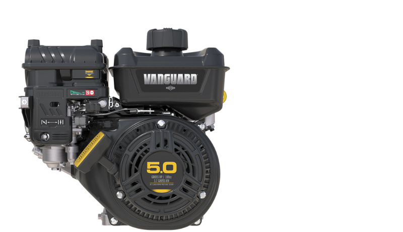 Vanguard 160 engine
