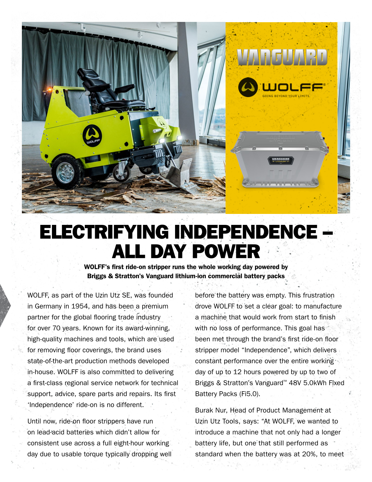 Wolff case study PDF