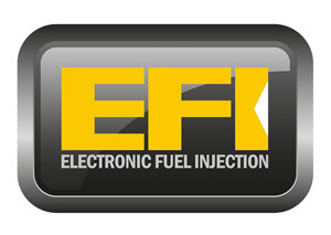 Vanguard EFI logo