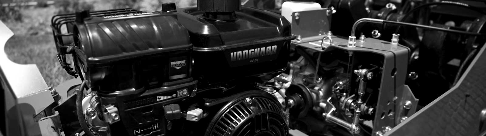 Vanguard 200 single-cylinder engine