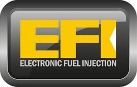 EFI_logo_297x190