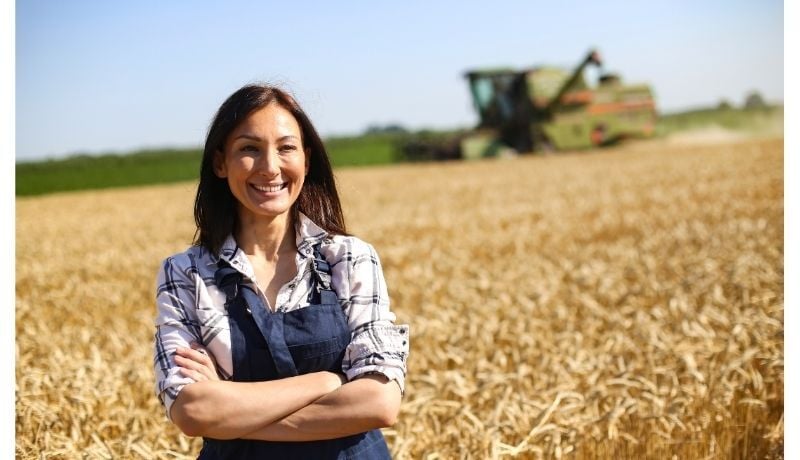 Landscape-Agriculture-market-rectangle