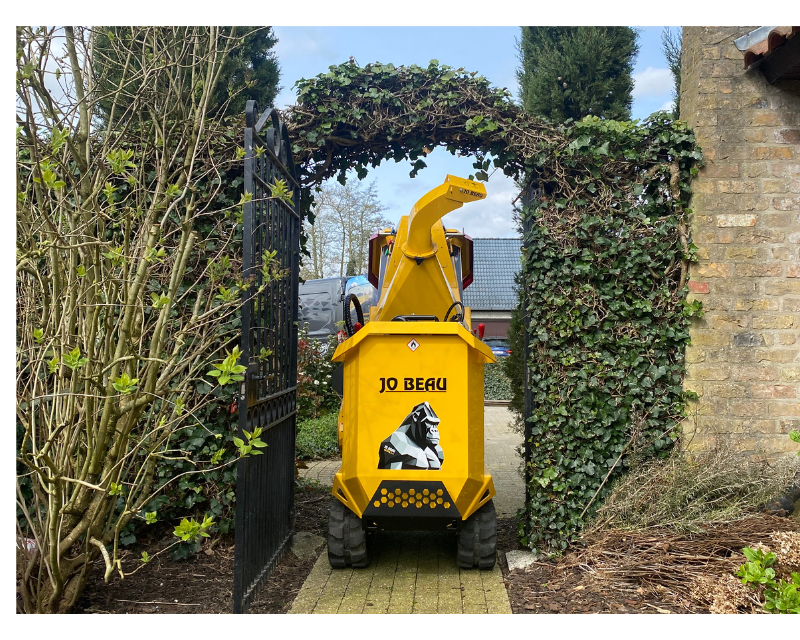 Jo-Beau-M600-Gorilla-doorway