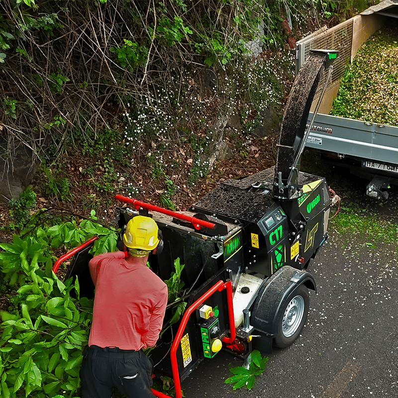 Vanguard engine powering Negri wood chipper
