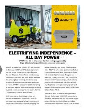 Wolff-case-study-pdf-preview