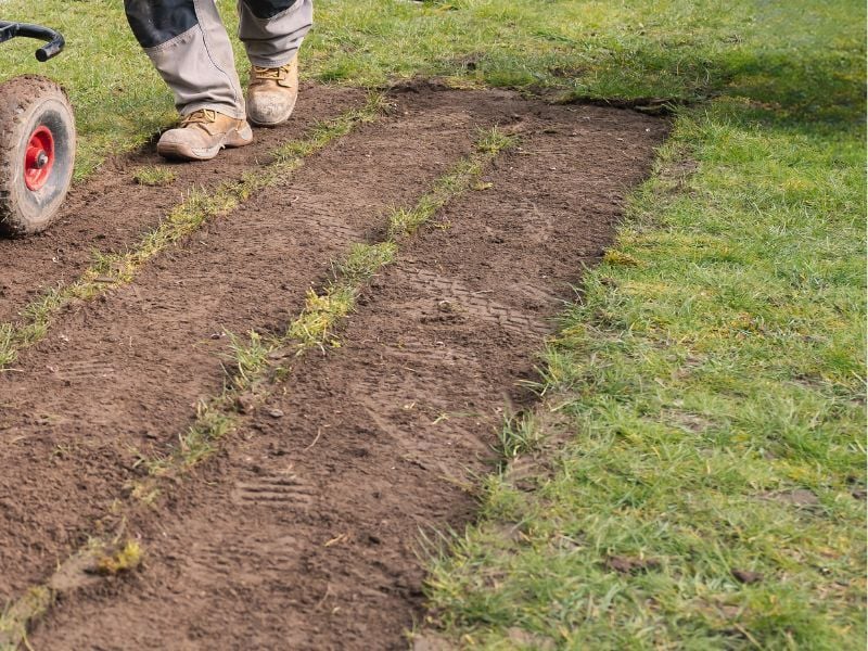 turf-cutter-action-800x600