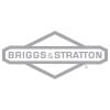 Briggs_Grey_Logo
