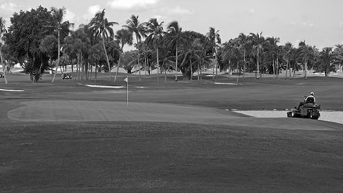 Vanguard_Golf_500x281