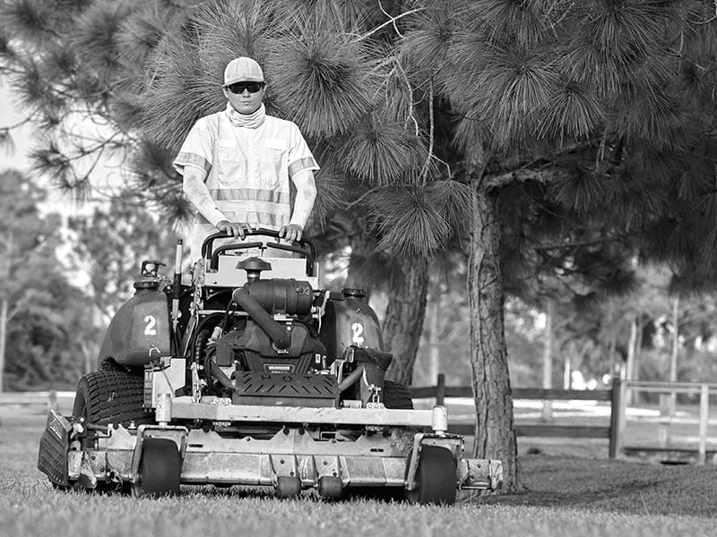 Van_EngineRepower_2THB