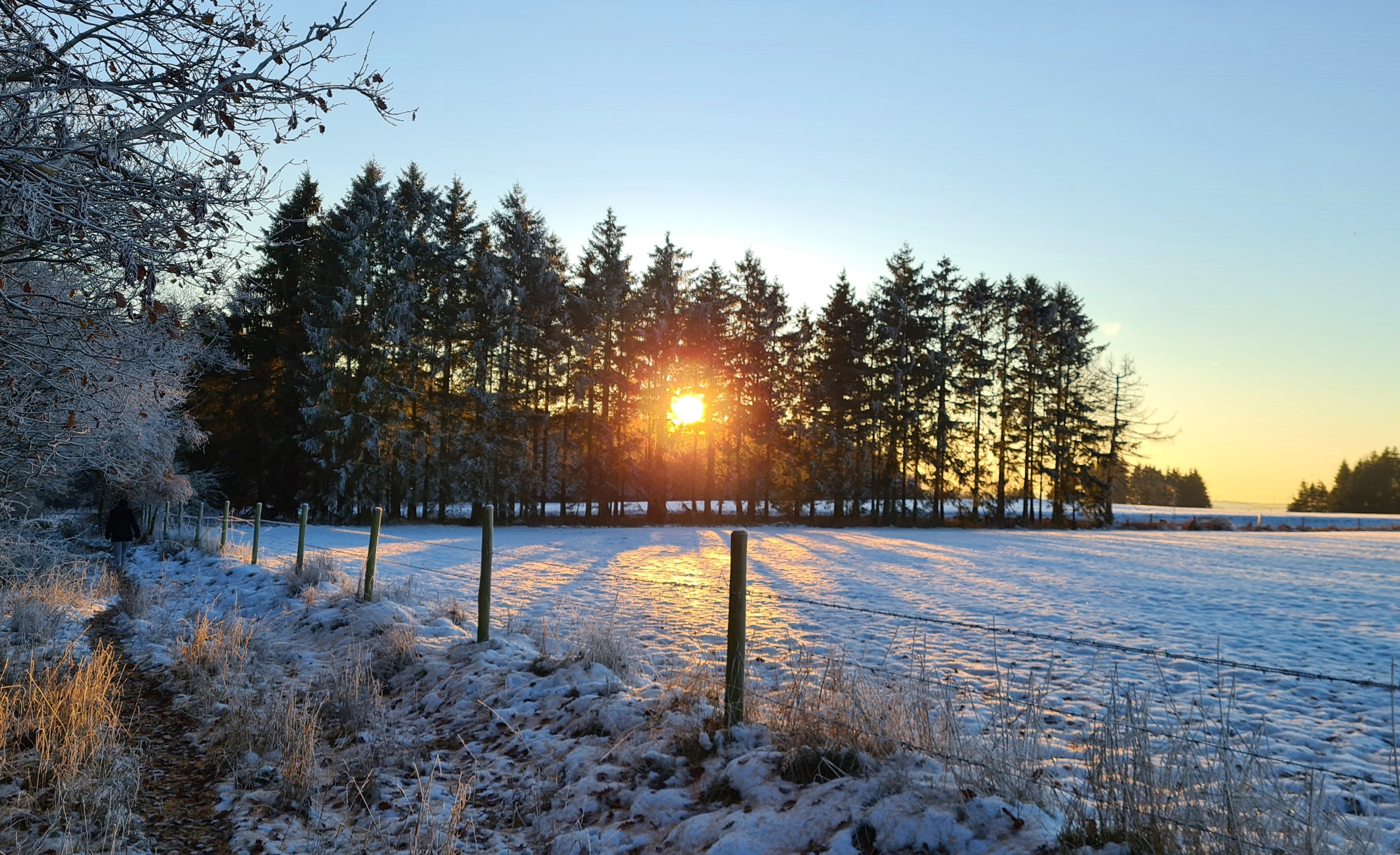 Engineered for Extremes: How Vanguard® Engines Deliver All-Weather Reliability for Welders